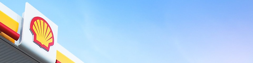 Shell Pecten on the background of the blue sky